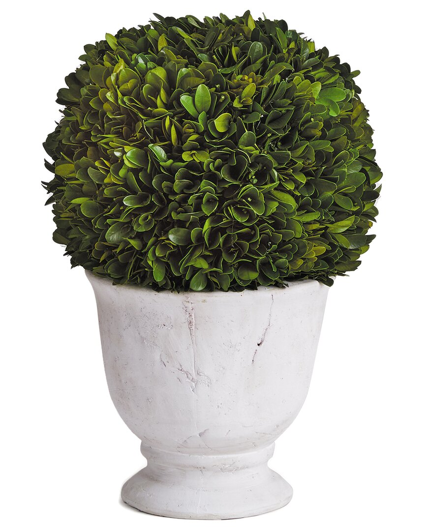 Napa Home & Garden Large Boxwood Ball Topiary In Pot