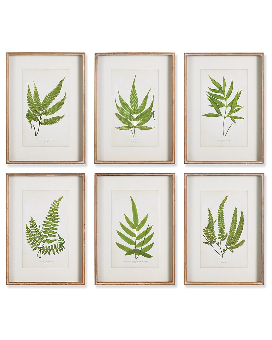 Napa Home & Garden Forest Greenery Prints Set