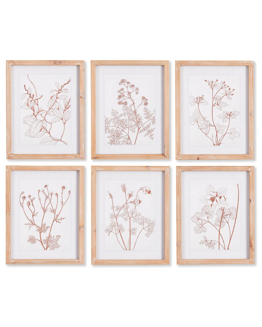 Napa Home & Garden Botanicals In Blush Prints Set