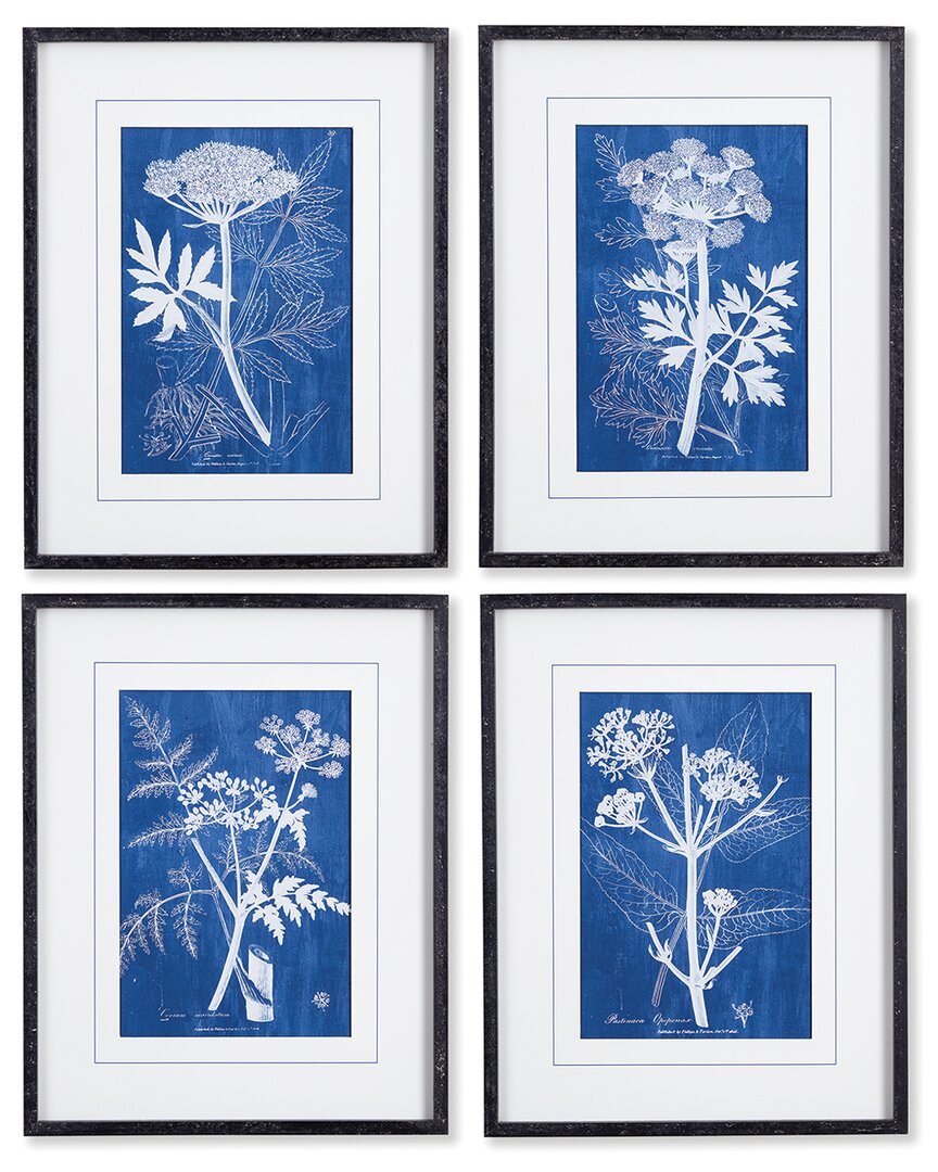 Napa Home & Garden Cyanotype Queen Annes Lace Prints Set