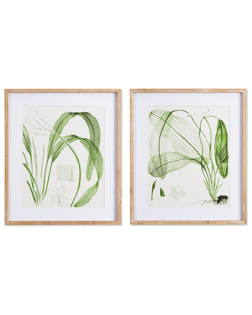 Napa Home & Garden Set Of 2 Aquatic Leaf Prints