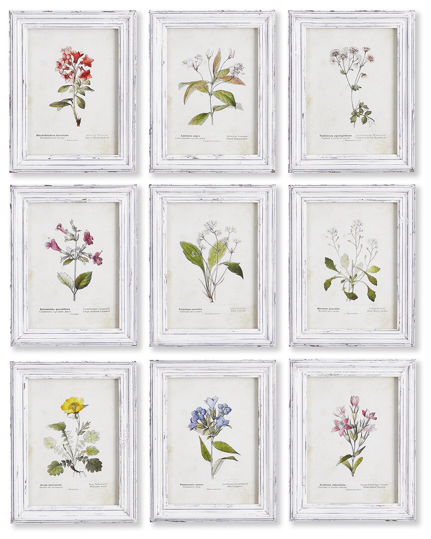 Napa Home & Garden Set Of 9 Garden Meadow Study Prints