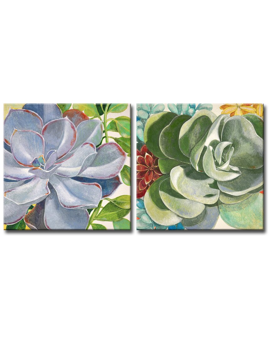 Ready2hangart Brilliant Succulents Iii/iv Wrapped Canvas Wall Art Set