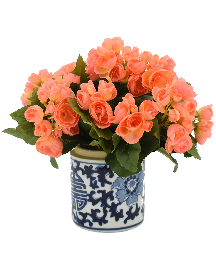 Creative Displays Peach Orange Begonia Floral Arrangement
