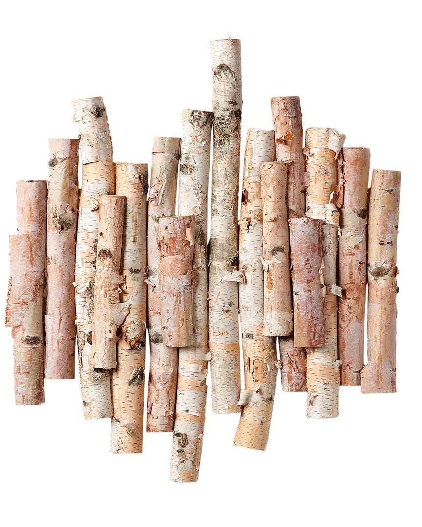 D&W SILKS D&W SILKS WALL HANGING BIRCH POLES