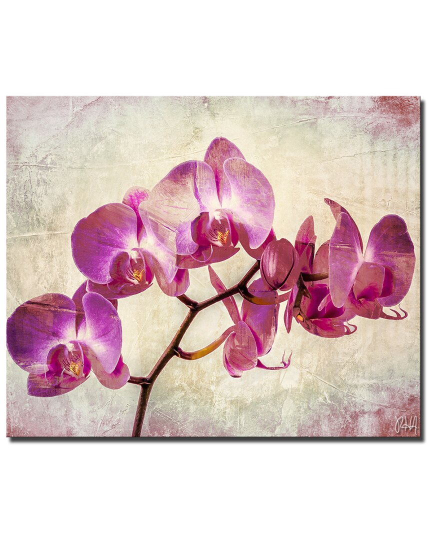 Ready2hangart Painted Petals Xviii 2 Piece Wrapped Canvas Wall Art Set