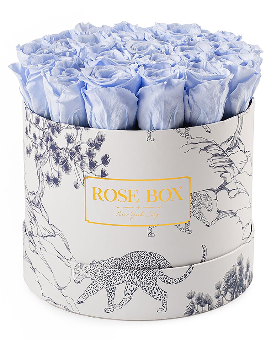 Rose Box Nyc Medium Blue Tiger Box With Light Blue
