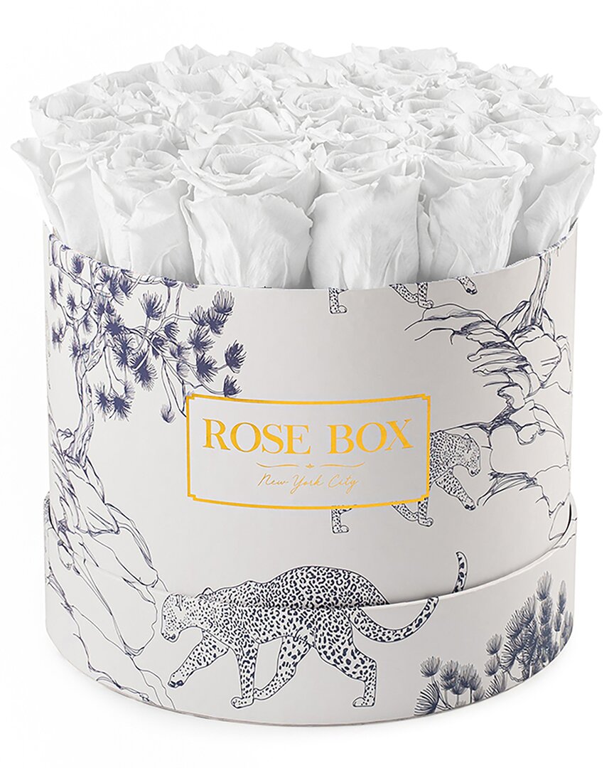Rose Box Nyc Medium Blue Tiger Box With Pure White