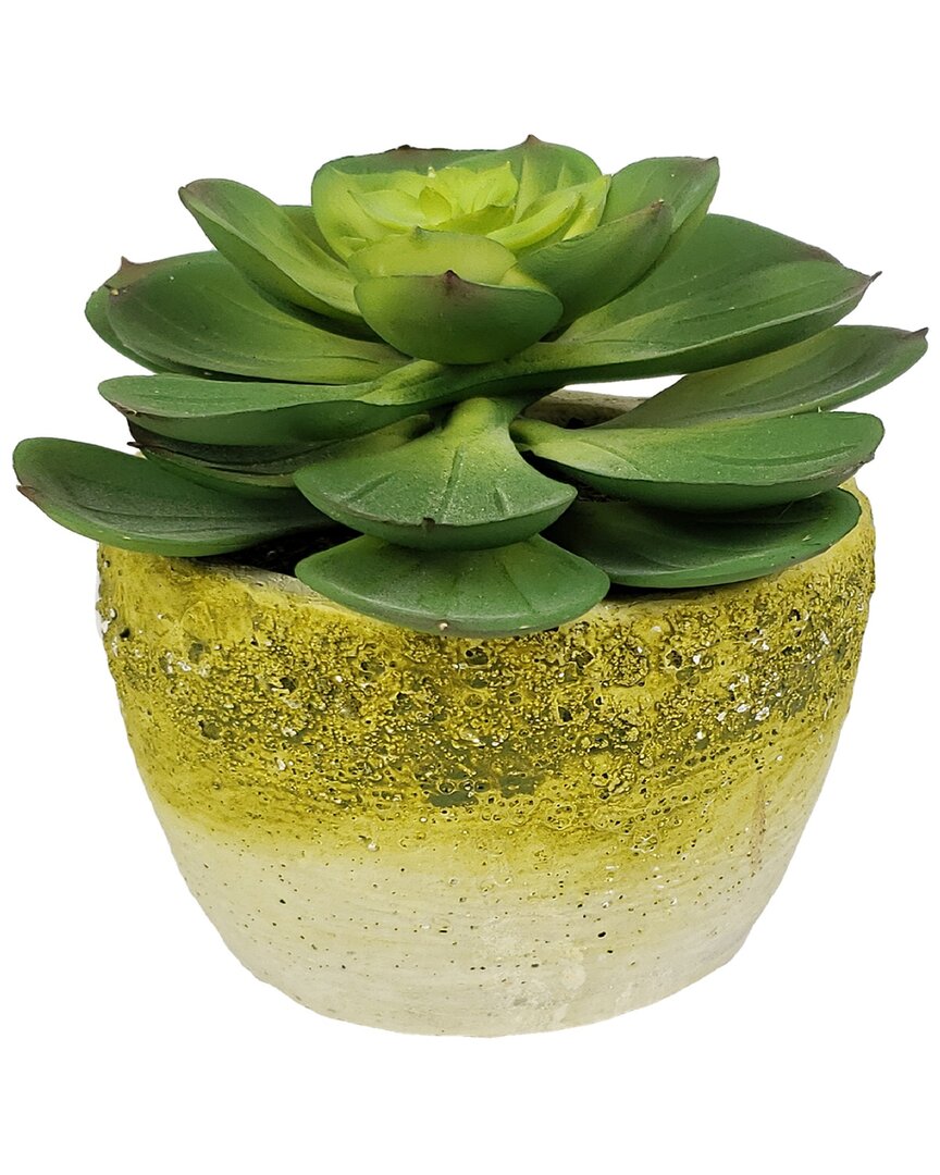 G.t. Direct Corporation Gt Direct Faux Succulent In Yellow Tinted Cement Pot In Grey