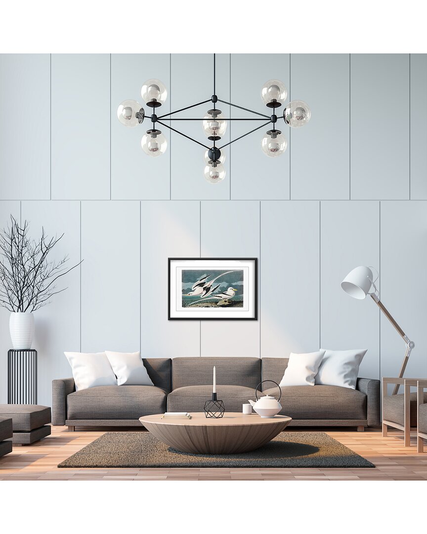 Shop Ready2hangart Tropic Bird From Birds Of America (1827) By John James Audubon Wall Art