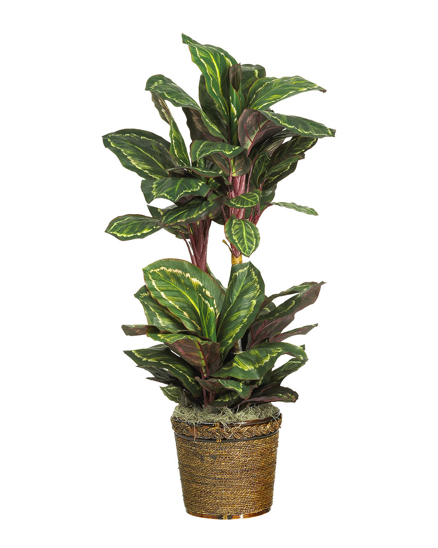 Nearly Natural 45in Maranta Silk Plant