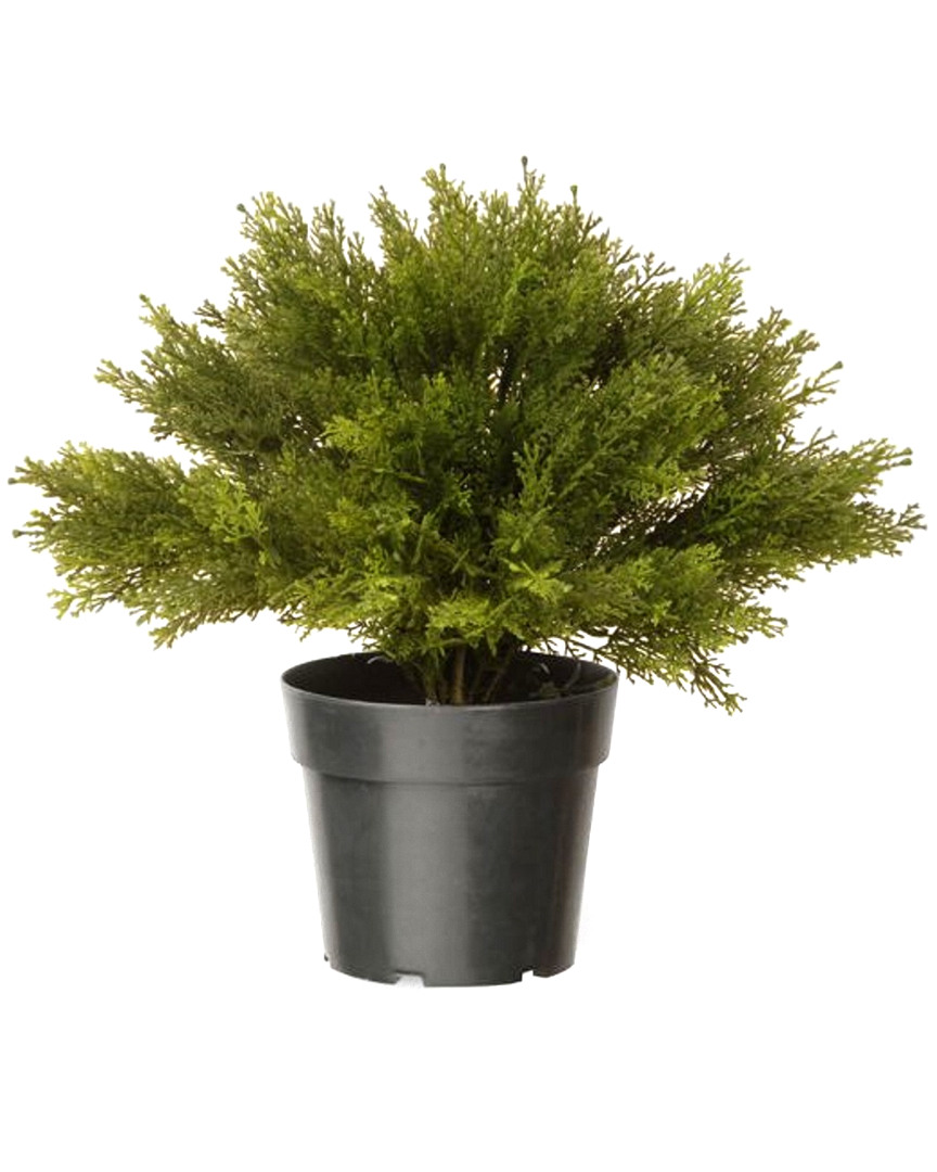 National Tree Company 24in Globe Juniper