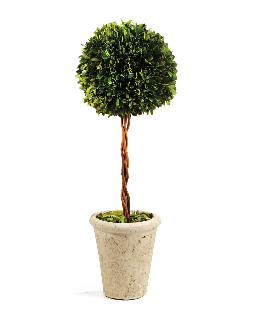 Napa Home & Garden Boxwood Single Sphere Topiary