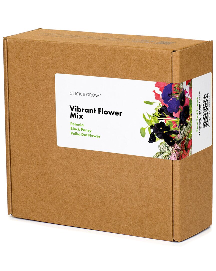 Click & Grow Click And Grow Vibrant Flower Mix
