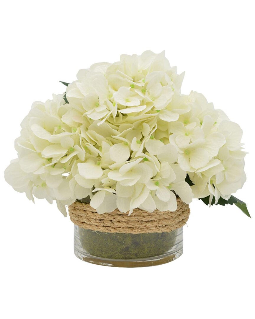 Creative Displays White Hydrangea In Glass Vase With Moss