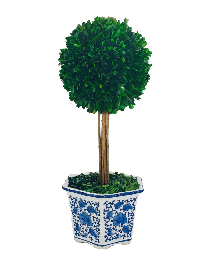 G.t. Direct Corporation Gt Direct 19in Preserved Boxwood Topiary Tree In Ceramic Pot In Grey