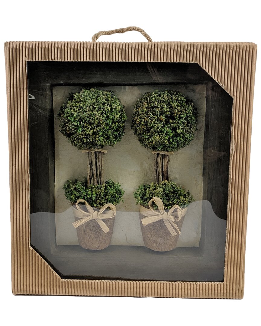 G.t. Direct Corporation Gt Direct 2pc Framed Topiary Wall Decor In Brown