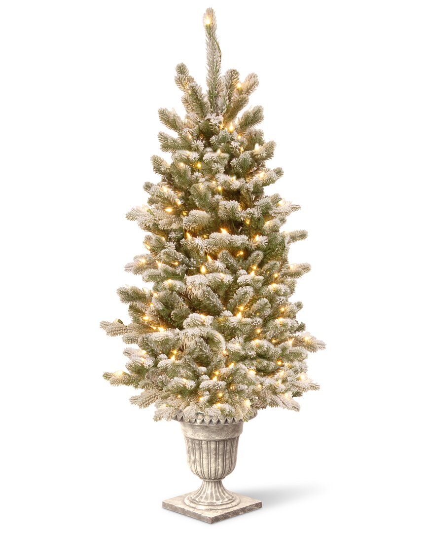 National Tree Company 4ft Snowy Sheffield Spruce Entrance Tree With Twinkly Led Lights In Green