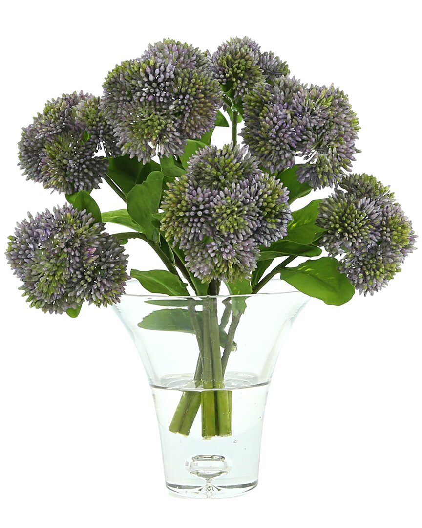 Creative Displays Sedum Arrangement In Glass Vase In Purple