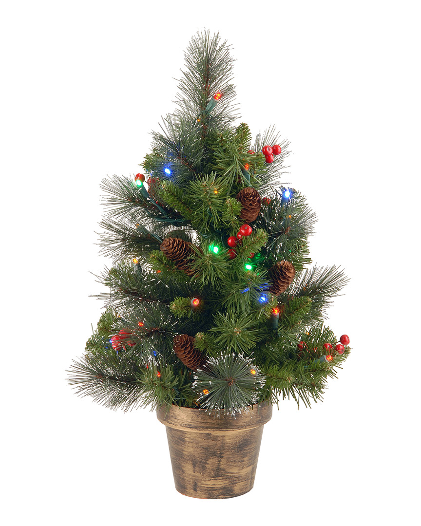 National Tree Company 2ft Crestwood Spruce Small Tree With Silver Bristle, Berries, Cones And Clear
