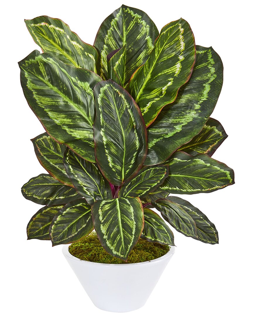 Nearly Natural Maranta Artificial Plant In White Vase In Green