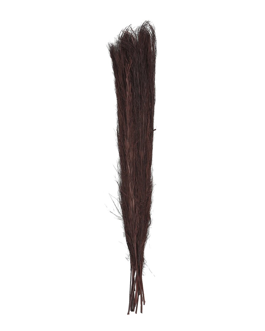Peyton Lane Pampas Grass Brown Dried Plant Tall Natural Foliage In Brown