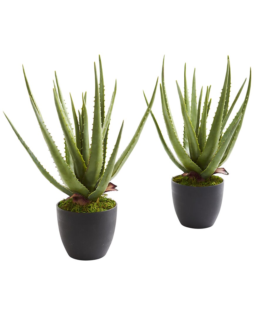 NEARLY NATURAL NEARLY NATURAL SET OF 2 ALOE ARTIFICIAL PLANTS 