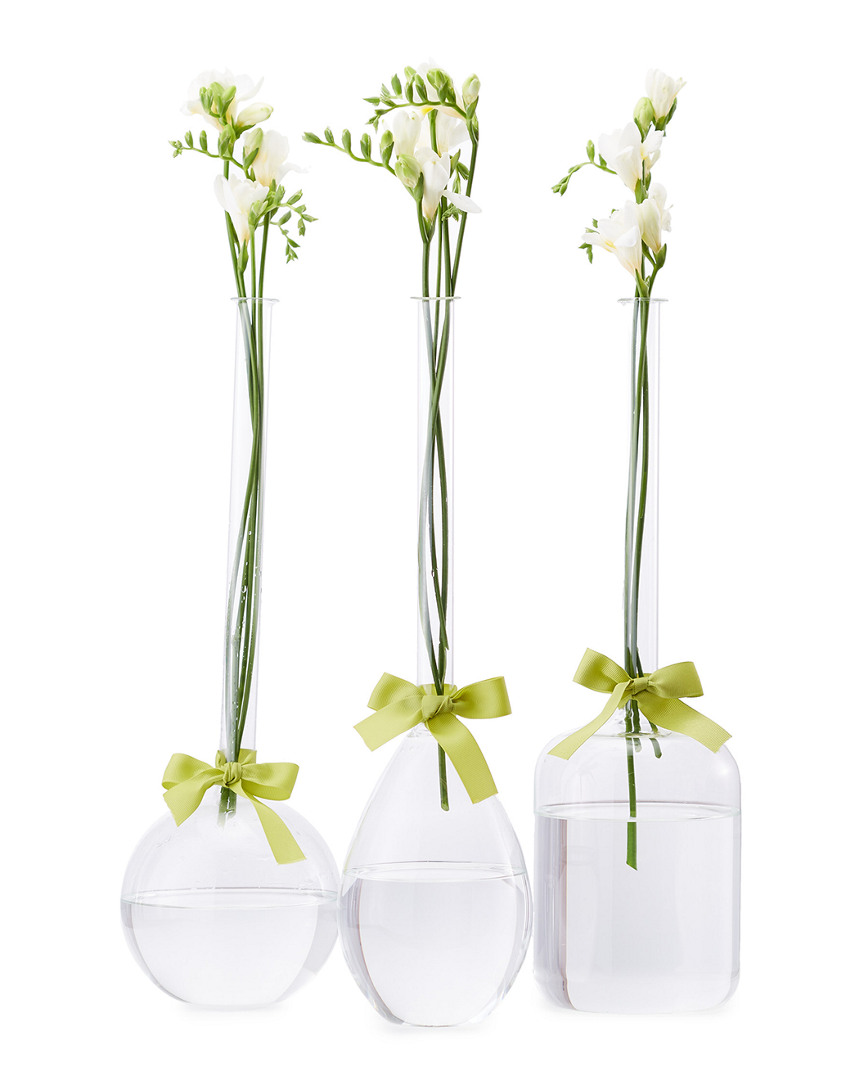 Two's Company Sleek Vase Trio In Clear