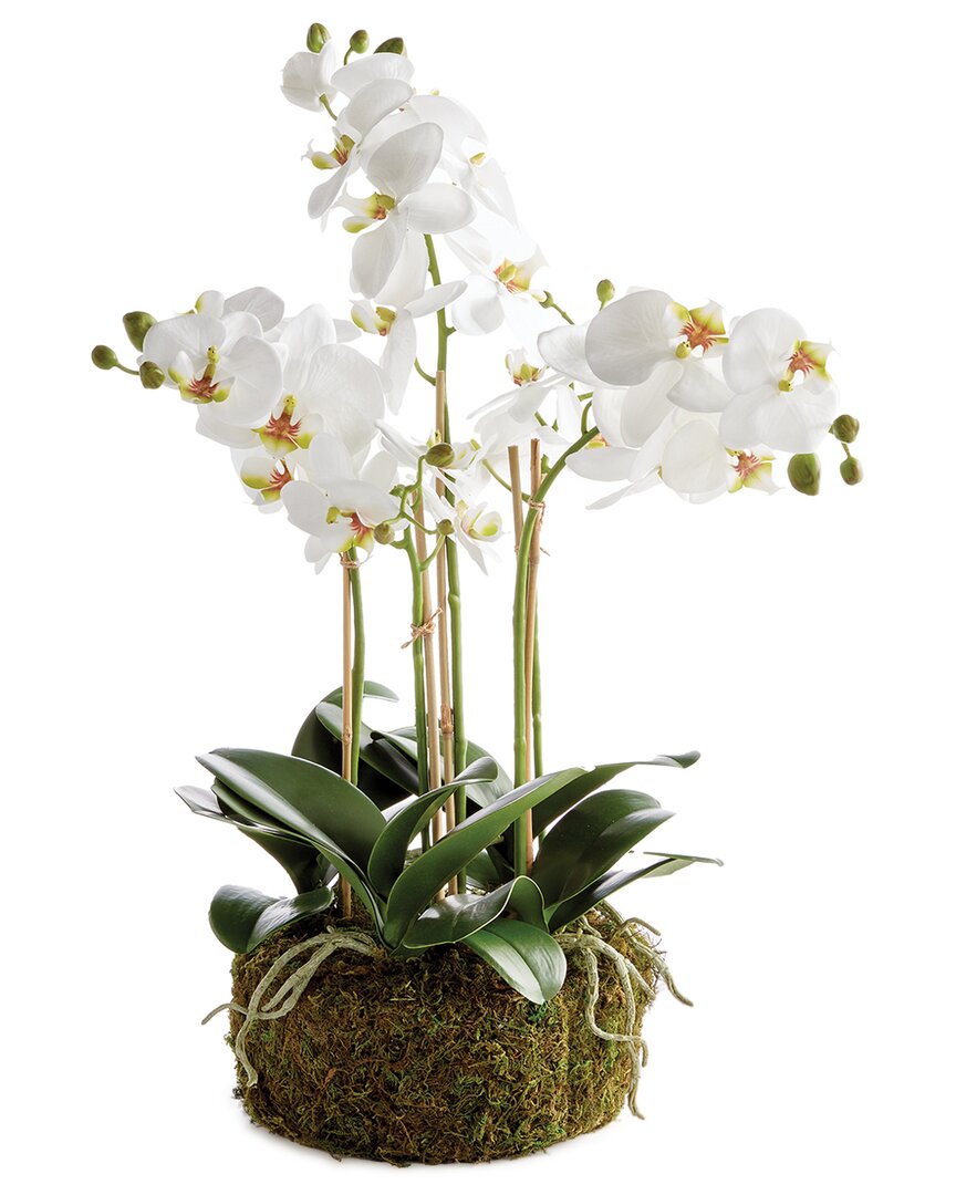 Napa Home & Garden Phalaenopsis Orchid Bowl Drop-in 18.5