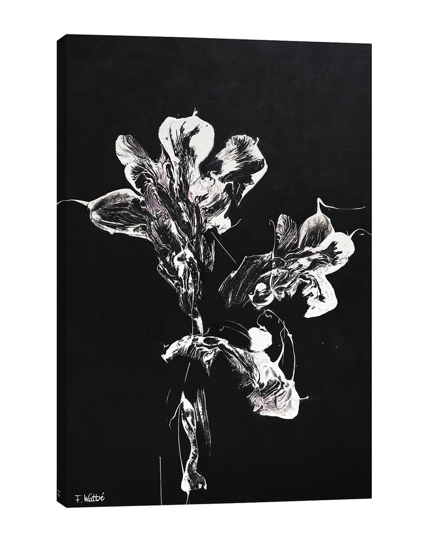 Icanvas Midnight Disguise By Francoise Wattre Wall Art