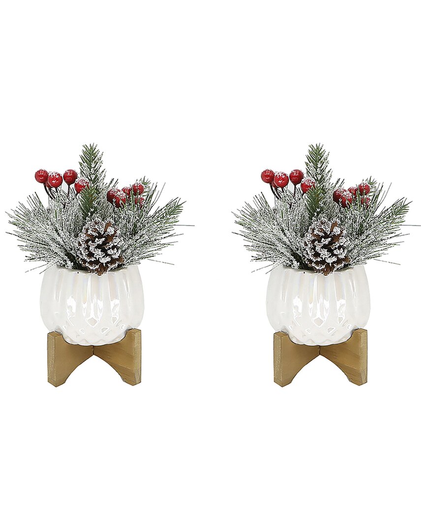 Flora Bunda Set Of 2 Xmas Mix In 4in Cupcake Ceramic On Stand In White