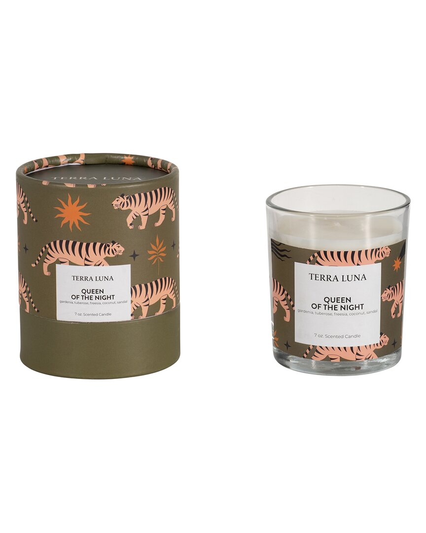 Sagebrook Home 7oz Nomad Boxed Candle In Multi