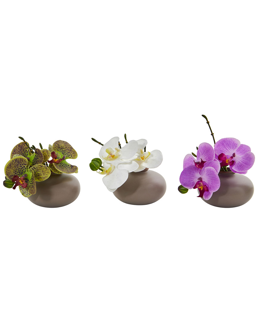 NEARLY NATURAL NEARLY NATURAL SET OF 3 PHALAENOPSIS ORCHID ARTIFICIAL ARRANGEMENTS