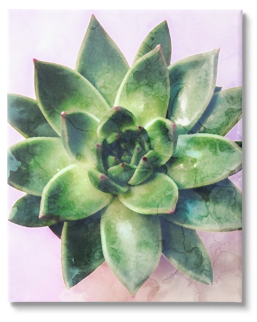 Stupell Round Succulent Plant Leaves Canvas Wall Art By Daphne Polselli