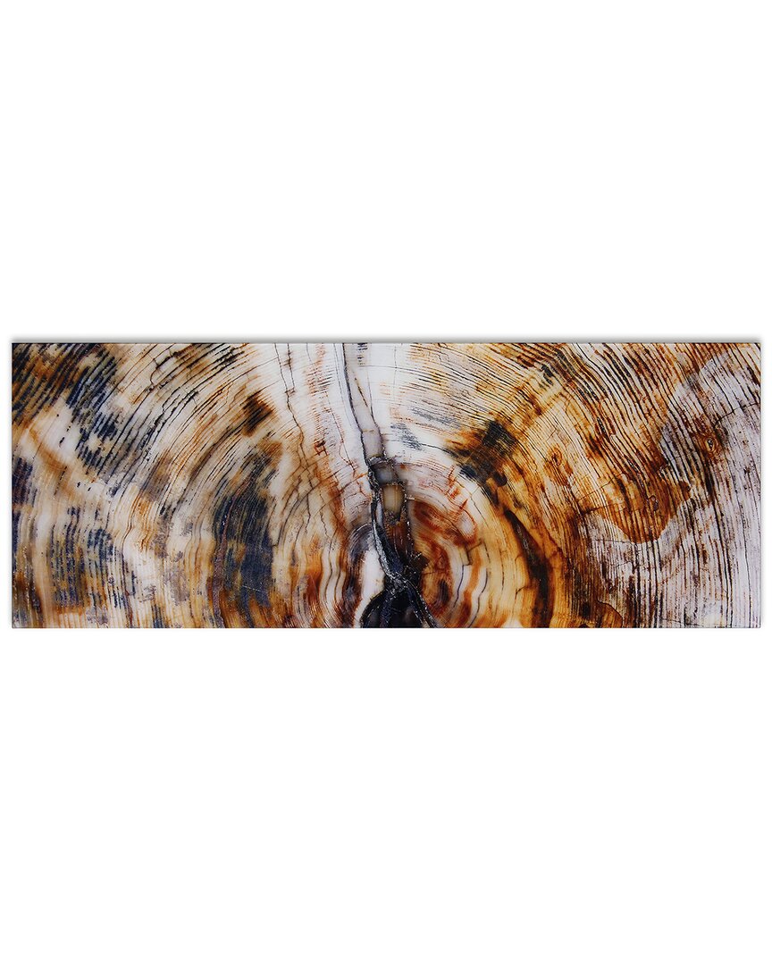 Empire Art Direct Impact B Wall Art