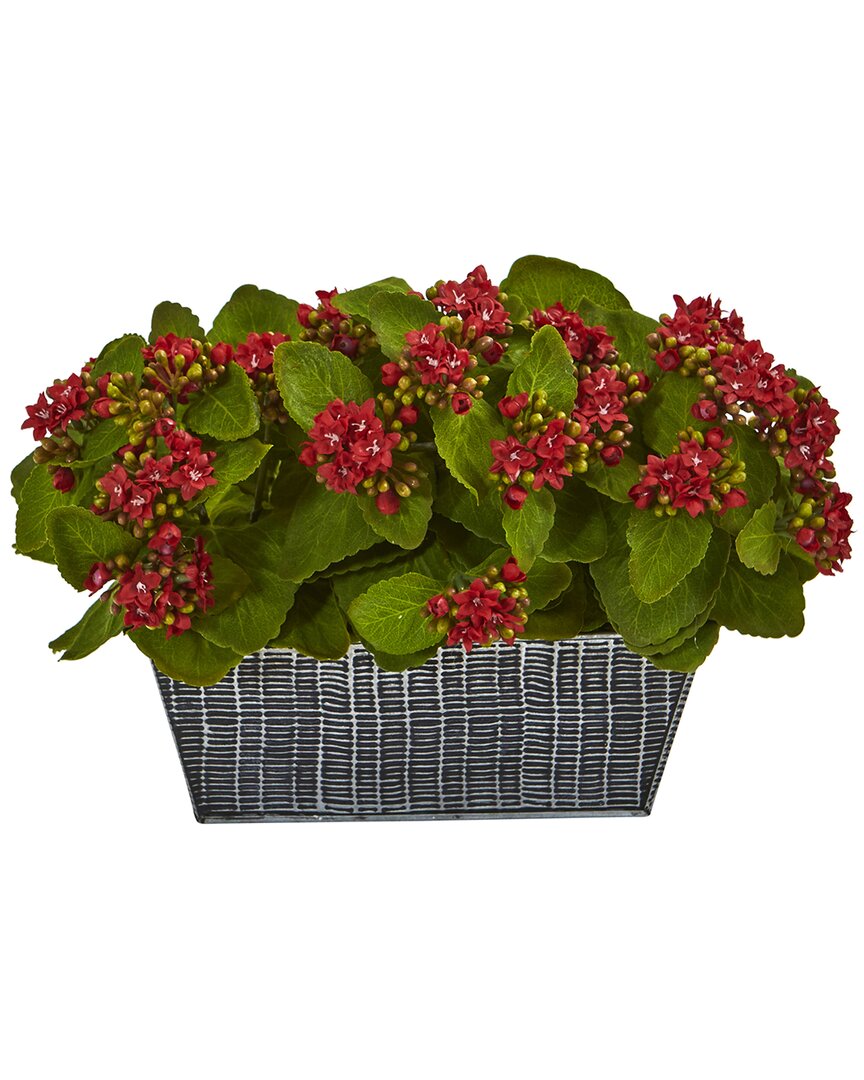 Nearly Natural 14in Kalanchoe Artificial Plant In Black Embossed Planter In Red