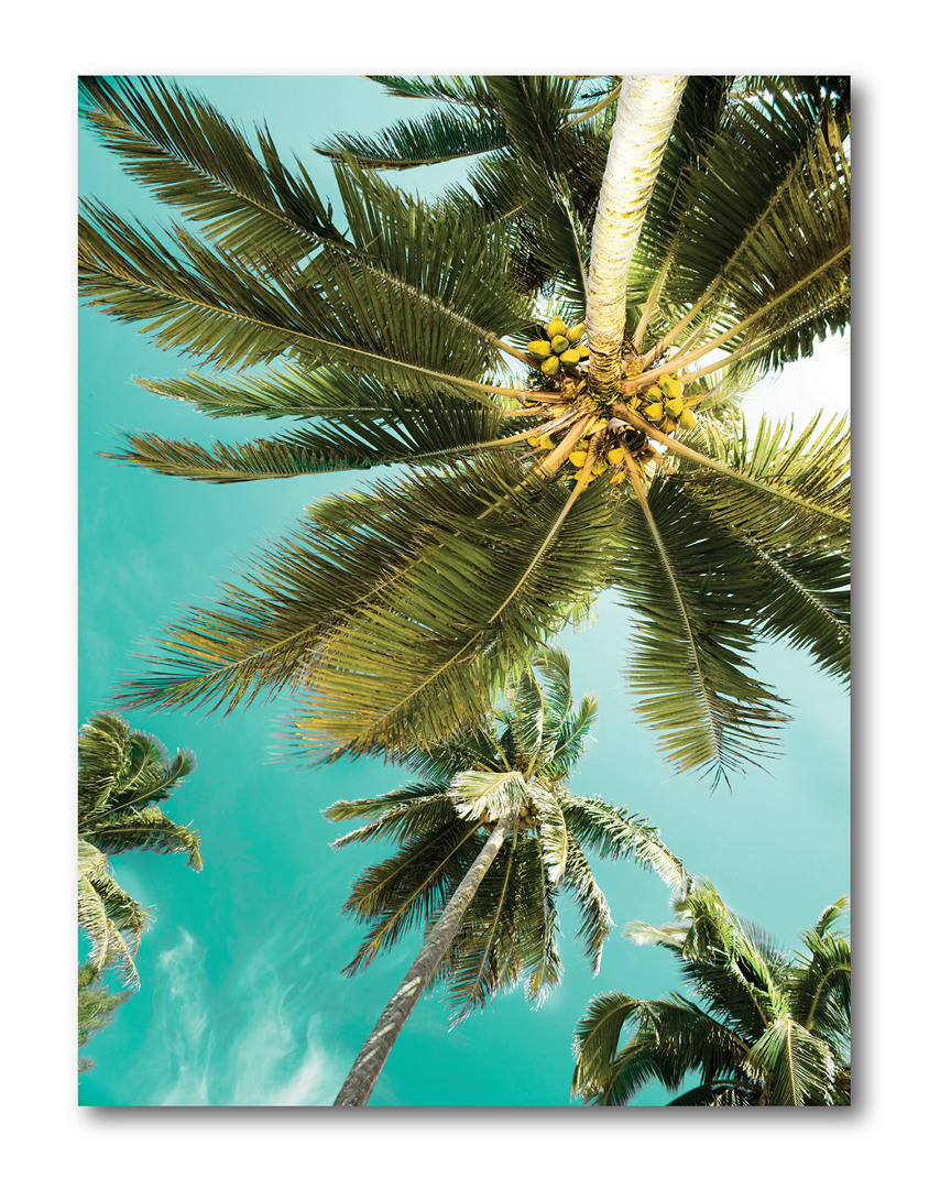 Courtside Market Wall Decor Palms Up Gallery-wrapped Canvas Wall Art