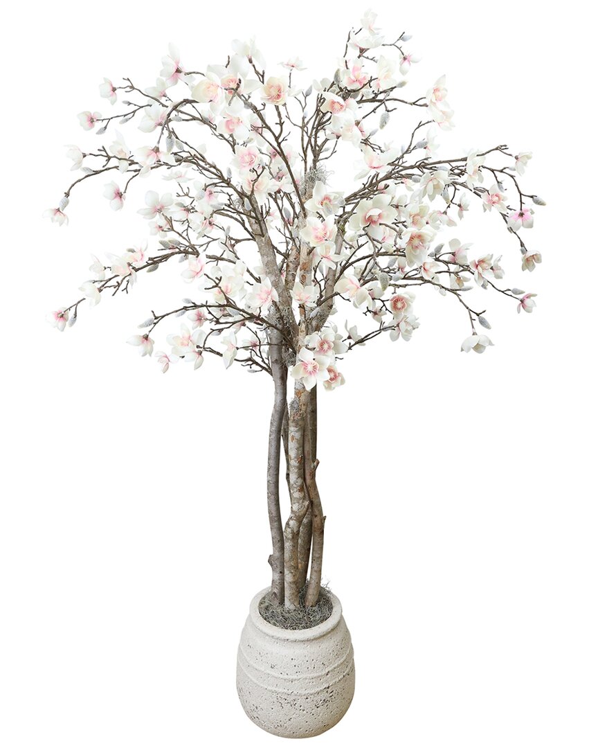 Creative Displays Magnolia Tree In Stone Pot