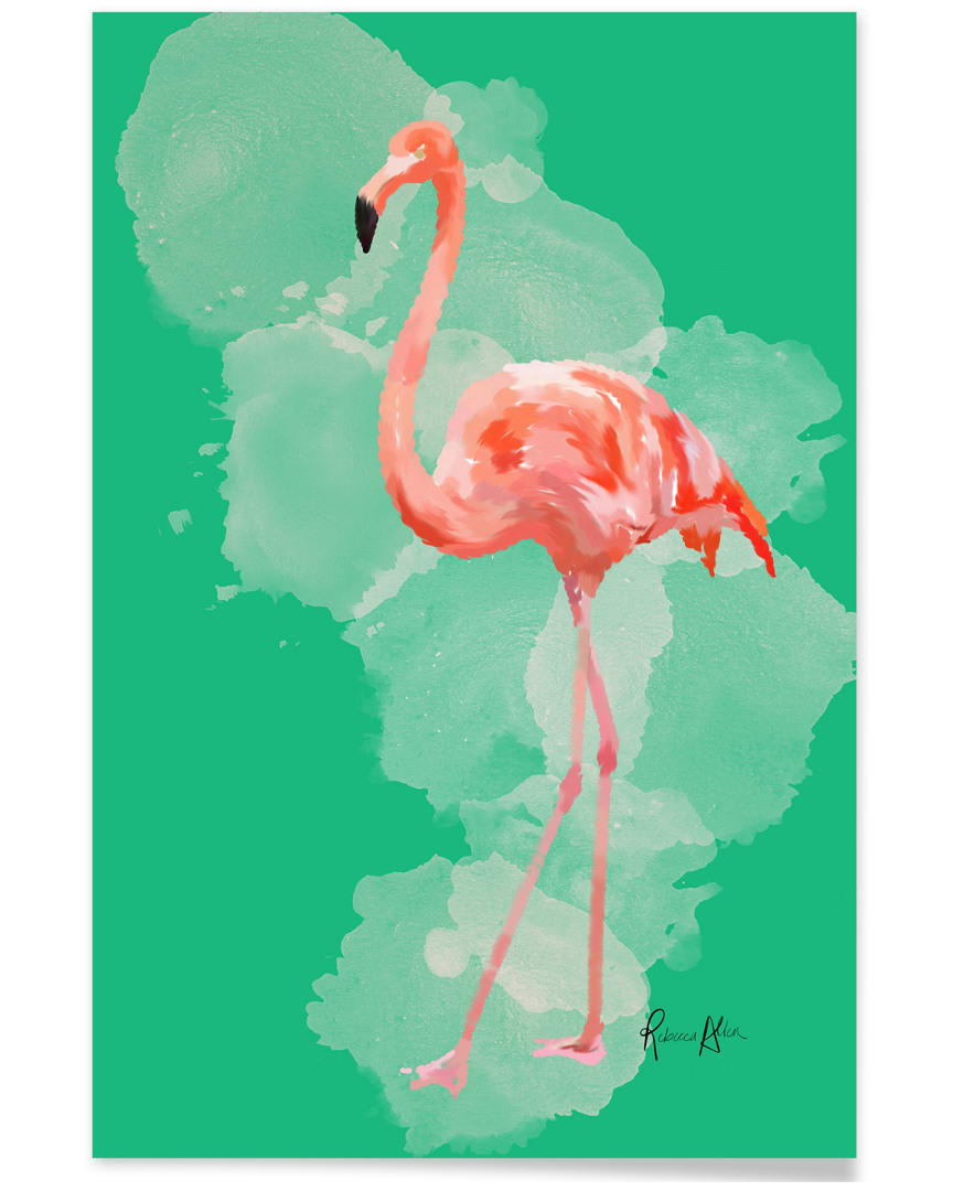 Curioos Flamingo: The Pink Beauty By Rebecca Allen