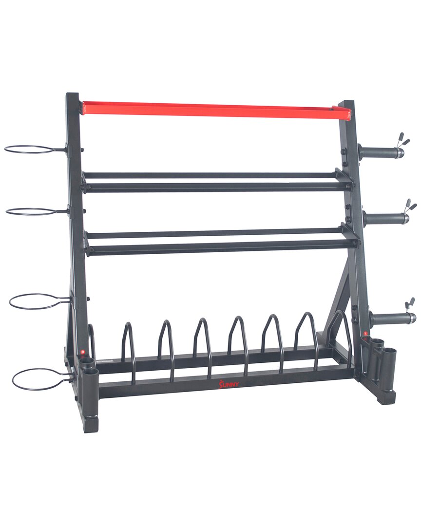 Sunny Health & Fitness All-in-one Weights Storage Rack Stand In Steel