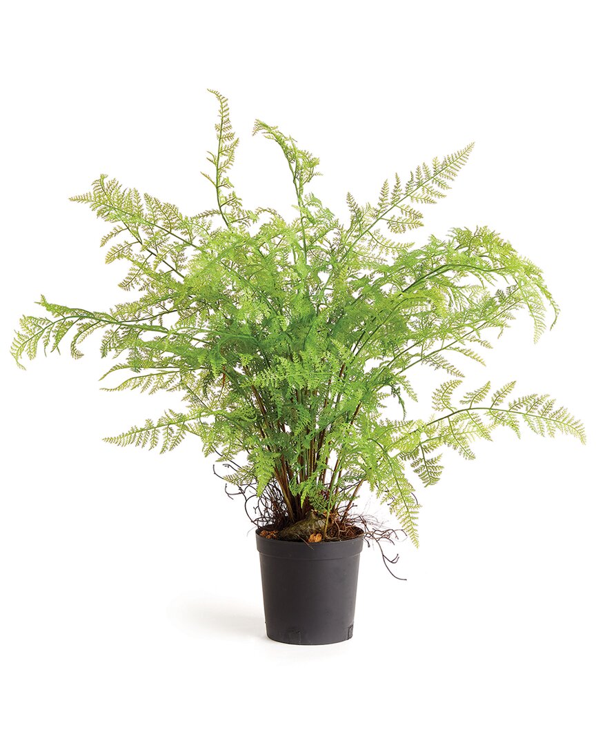 Napa Home & Garden 36in Soft Fern Drop-in 36 In Green