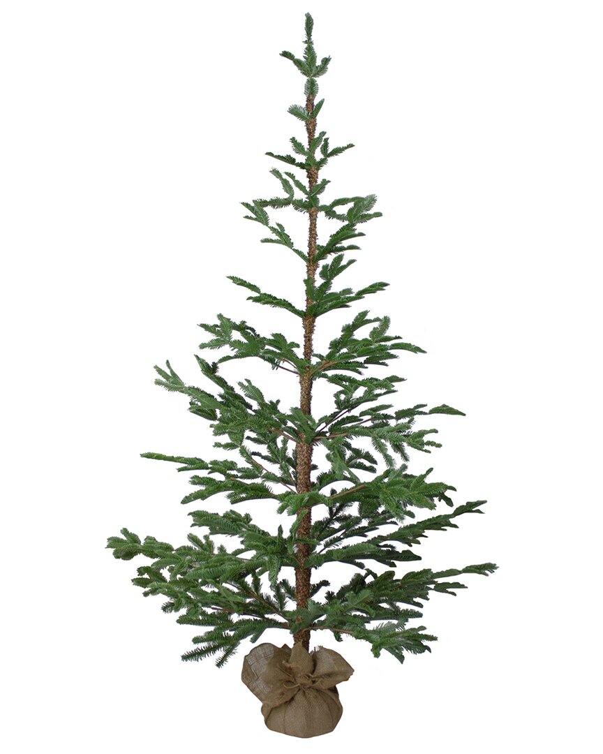 Shop Northlight 5ft Green Ponderosa Pine Artificial Christmas Tree