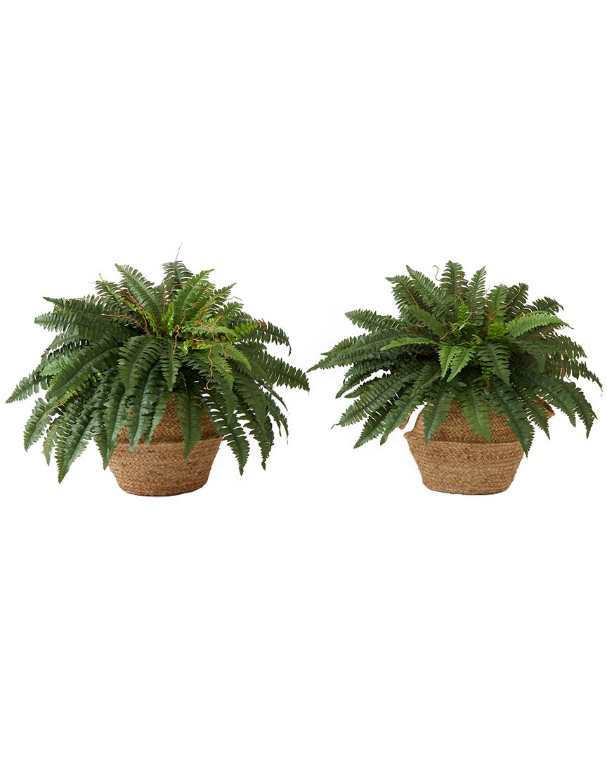 NEARLY NATURAL NEARLY NATURAL SET OF TWO 23IN ARTIFICIAL BOSTON FERN PLANTS WITH HANDMADE  BASKET WITH HANDLES DIY  