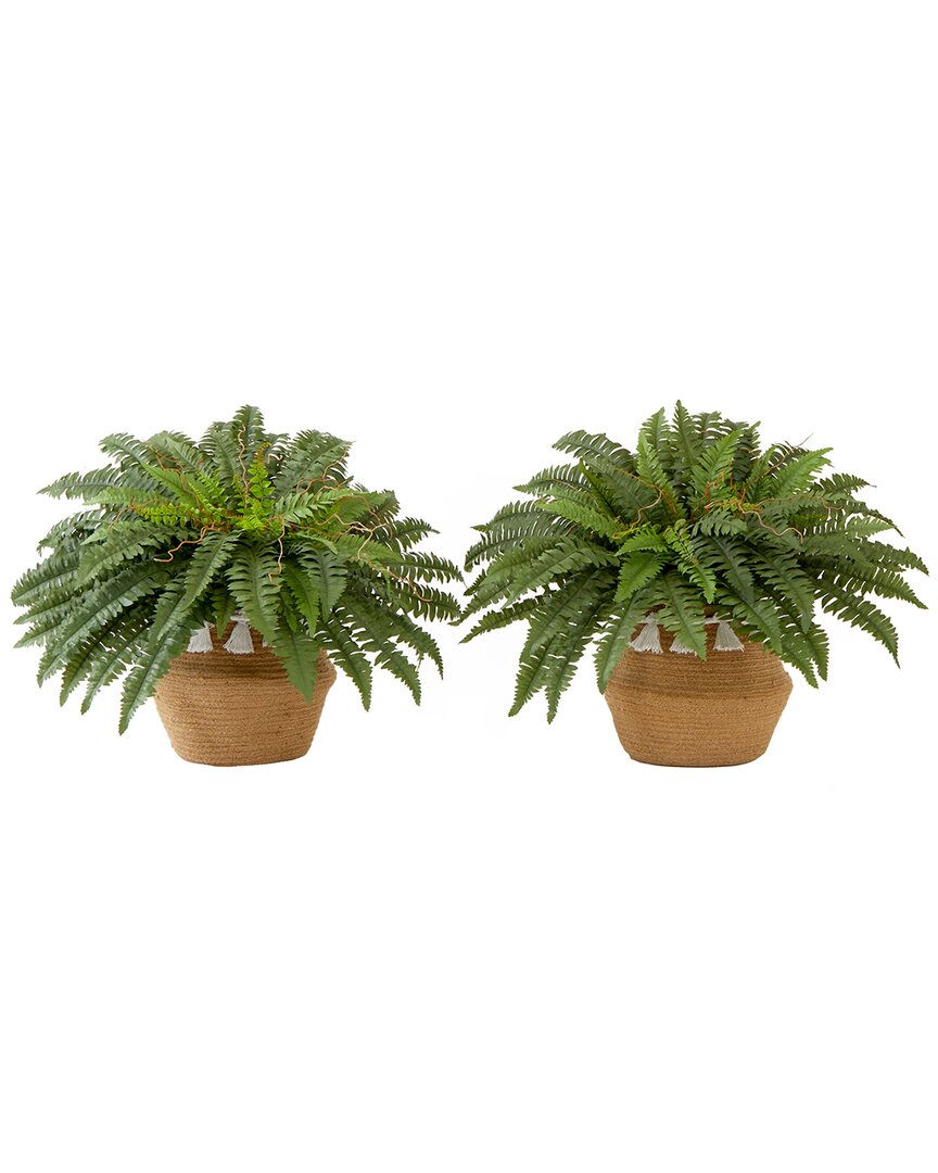 NEARLY NATURAL NEARLY NATURAL SET OF TWO 23IN ARTIFICIAL BOSTON FERN PLANTS WITH HANDMADE TASSEL BASKET DIY KIT 