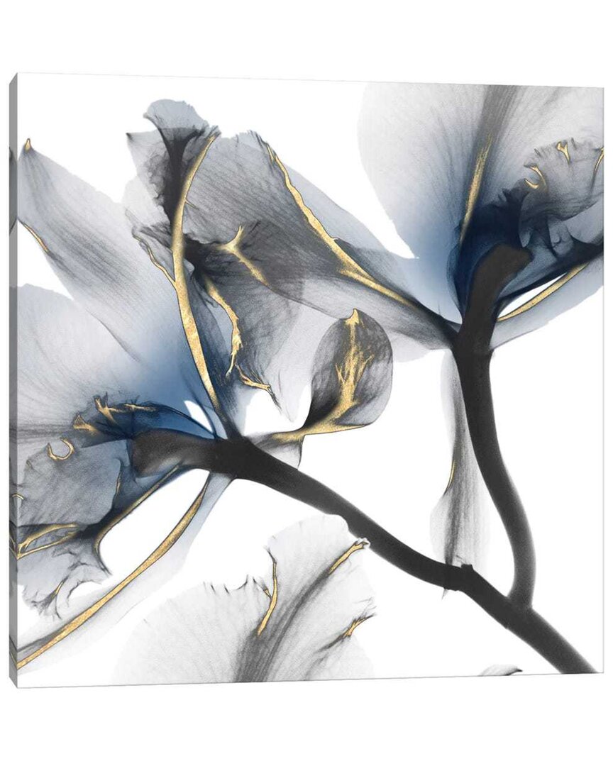Icanvas Indigo Luster Cyclamen Ii By Albert Koetsier Wall Art