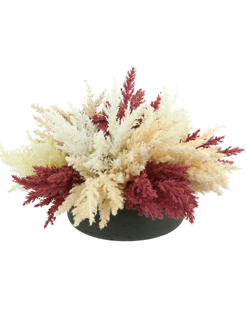 Creative Displays Assorted Pampas In A Fiberstone In Gray