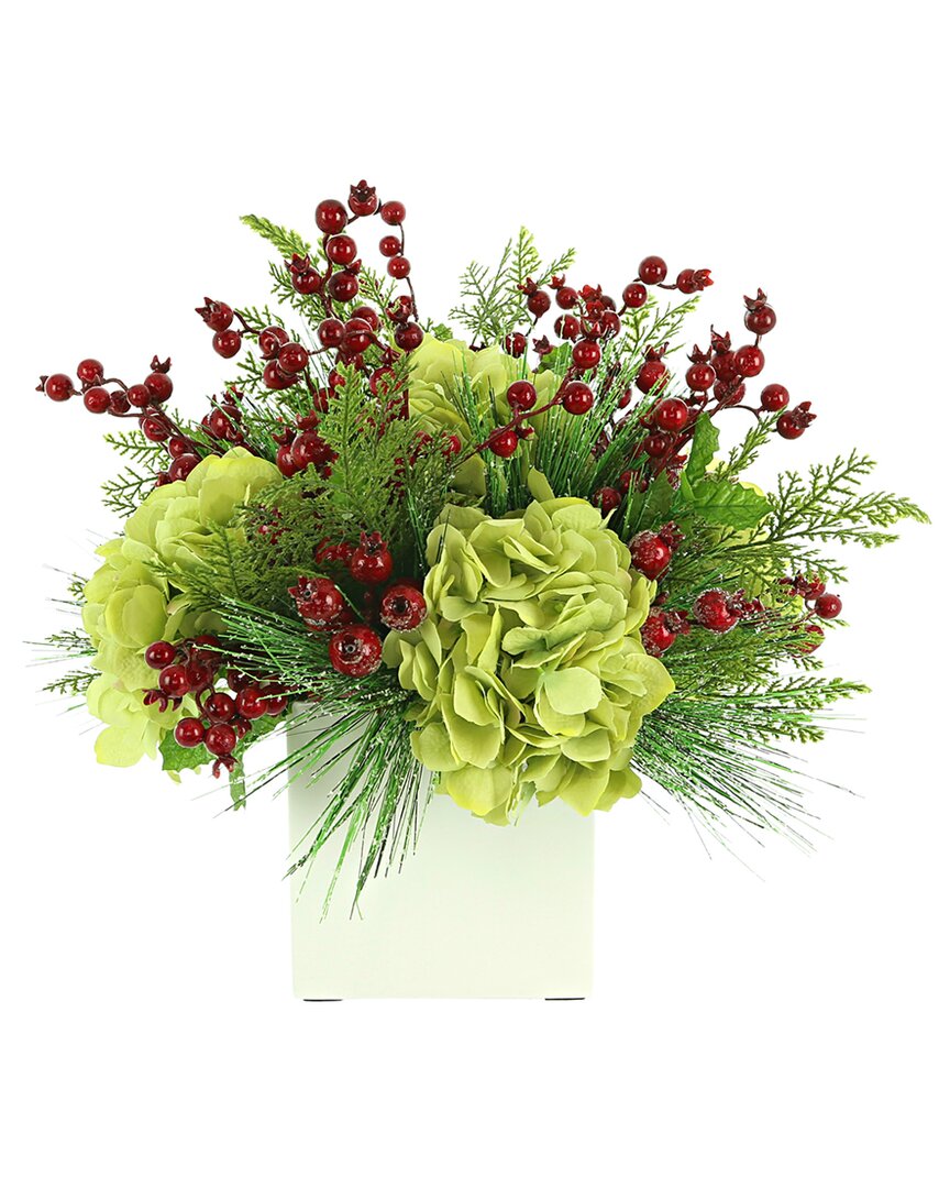 Creative Displays Green Hydrangea & Red Berry Holiday Arrangement In A Square Pot