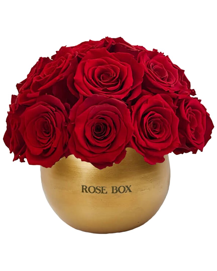 Shop Rose Box Nyc Mini Half Ball With Red Flame Roses In Gold