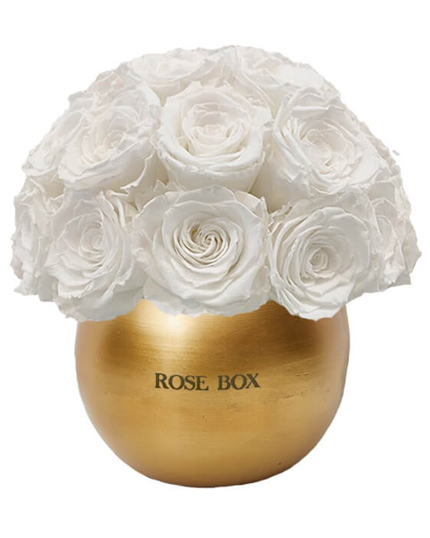 Rose Box Nyc Mini Half Ball With Pure White Roses In Gold