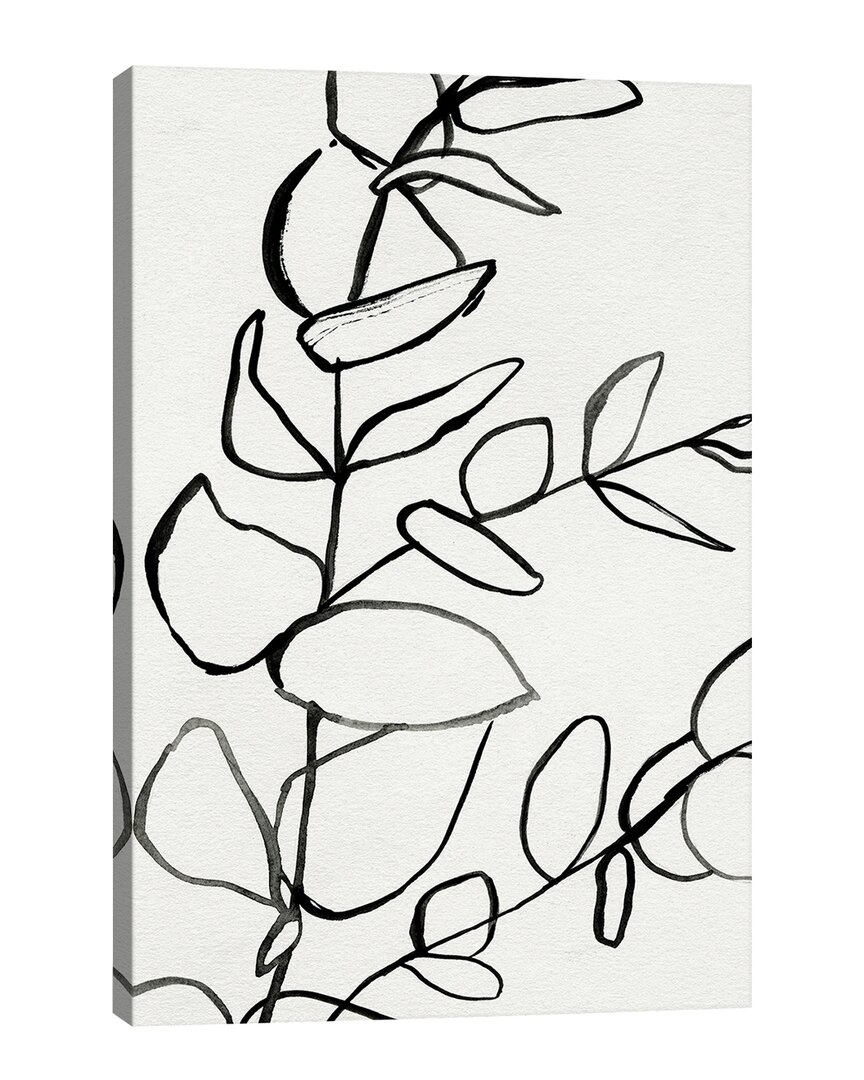 Icanvas Sprig Contour Ii By Victoria Barnes Wall Art